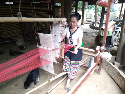 Ngân hàng CSXH huyện Quế Phong: 'Bà đỡ của người dân nghèo'